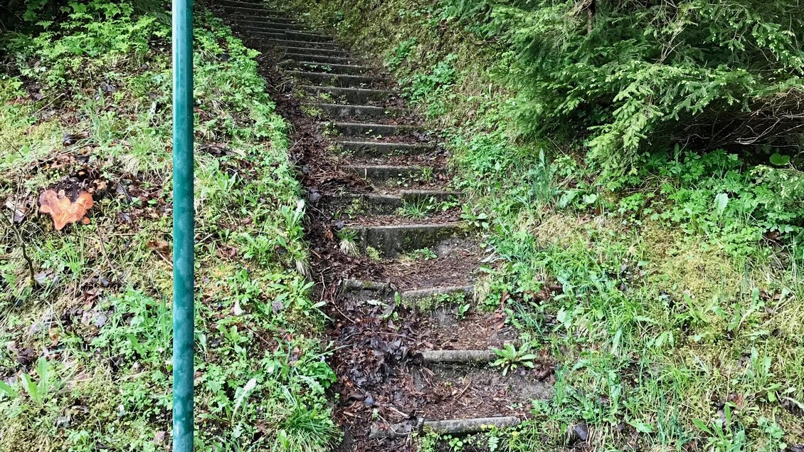 Ein schmaler, bewaldeter Pfad mit Steinstufen führt nach oben. Ein Wegweiser steht an der Seite des Pfades. | © TVB Schladming-Dachstein
