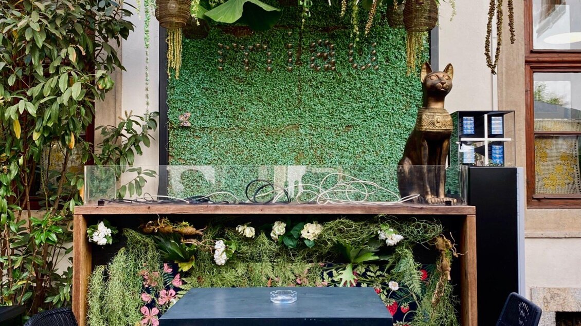 Ein stilvoller Balkon mit einer grünen Wand und dekorativen Pflanzen. Auf einem Holztisch steht eine kleine Glasvase, während eine Statue einer Katze zur Dekoration dient. | © Katze Katze