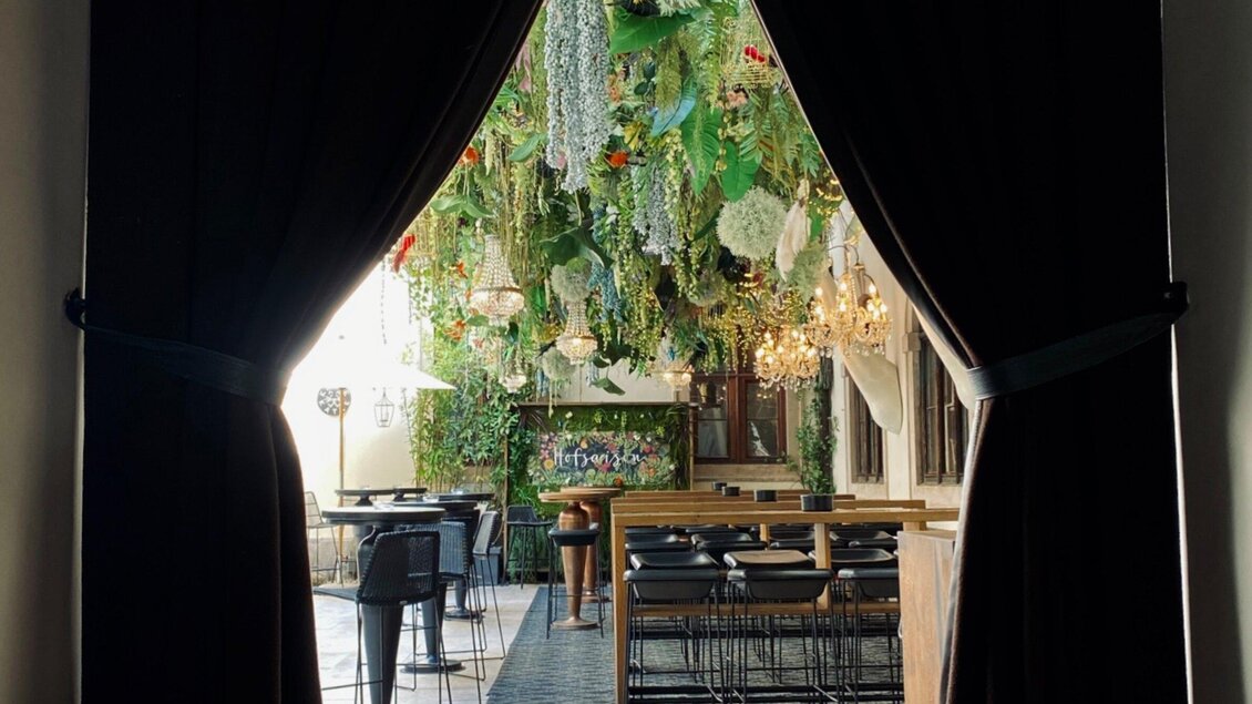 Ein stilvolles Restaurant mit einem üppigen, hängenden Pflanzenarrangement. Die Atmosphäre ist gemütlich und einladend, mit eleganten Möbeln und sanftem Licht. | © Katze Katze