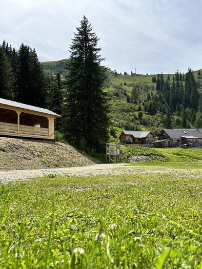 A beautiful landscape with green meadows and tall fir trees. In the background, some sleepy cottages can be seen. | © Riesneralm