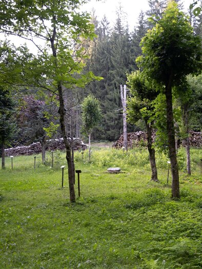 Keltischer Baumkreis | © Schilcherland Steiermark