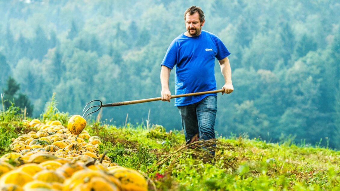 Ein Bauer arbeitet auf dem Feld mit Kürbissen. Im Hintergrund sind Bäume und eine grüne Landschaft sichtbar. | © Kernöl Niggas Martin