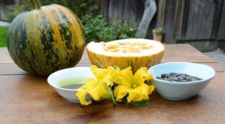 Kürbis und Kernöl | © Kernölmühle Lorenz | Familie Lorenz | © Kernölmühle Lorenz