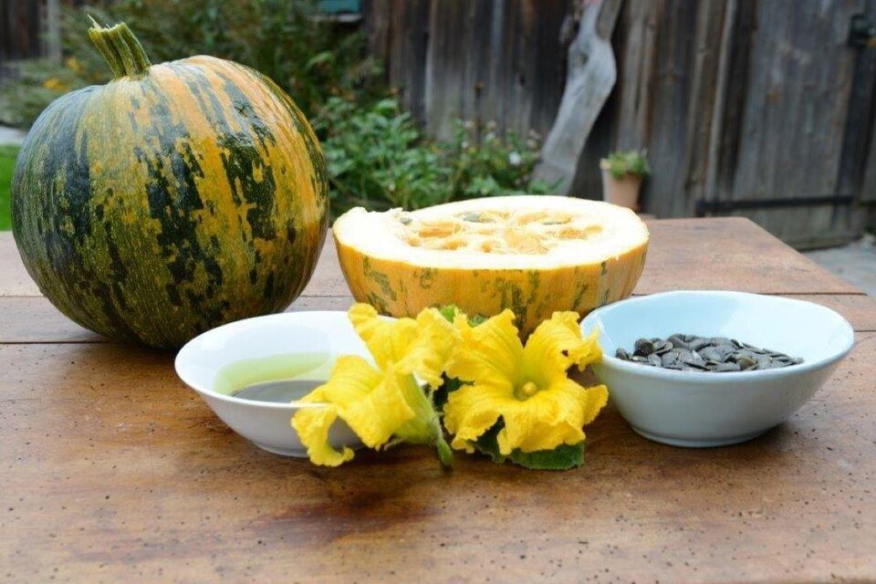 Kernölmühle Lorenz - Impression #1 | © Kernölmühle Lorenz