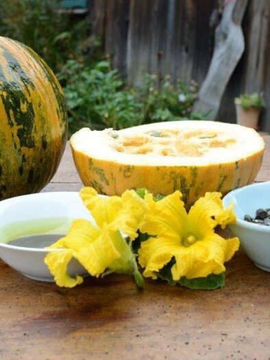 Kürbis und Kernöl | © Kernölmühle Lorenz