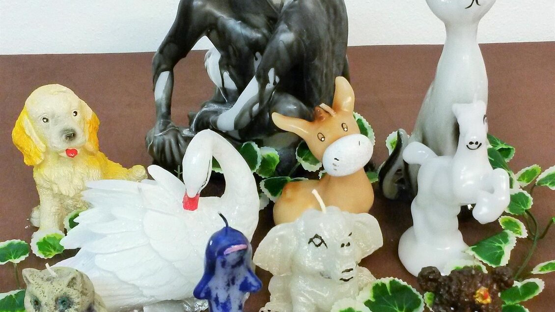 Eine Sammlung von dekorativen Kerzen in Form von Tieren, darunter Hunde, Katzen und ein Schwan. Die Kerzen sind bunt und stehen auf einem braunen Untergrund mit grünen Blättern. | © Birgit Stockenreitzner