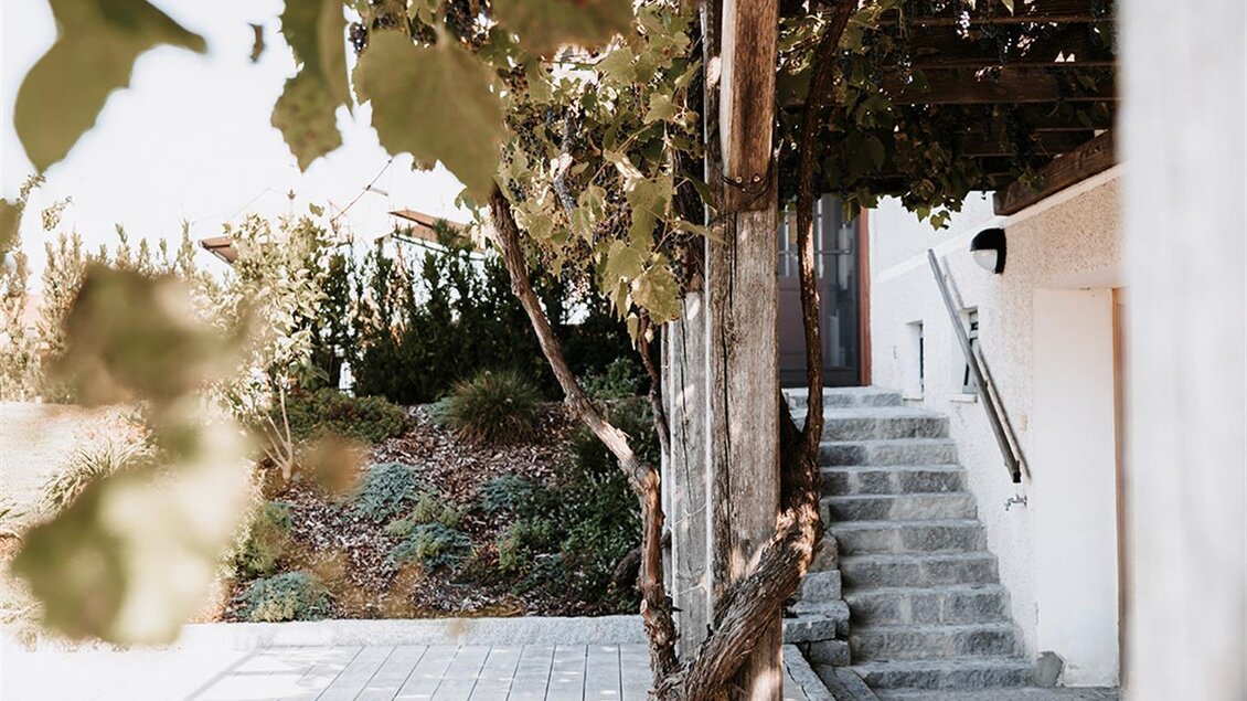 Eine Terrasse mit Holzplanken und Traubenreben. Im Hintergrund sind Treppen zu einem Gebäude zu sehen. | © Jaglhof