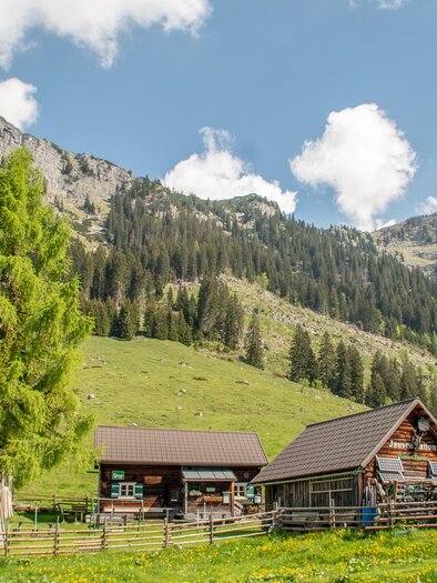 Kink Hütte auf der Hinteregger Alm | © Christian Scheucher