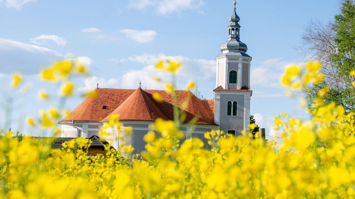 Eine charmante Kirche mit einem hohen Turm steht vor einem blühenden Rapsfeld. Der Himmel ist blau mit einigen Wolken. | © Kurkommission Bad Blumau