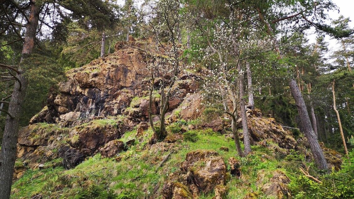 Kirchkogel Pernegg_Aufstieg_Oststeiermark | © Gemeinde Pernegg/Mur