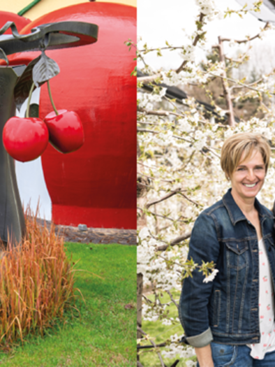 Eine stilisierte Skulptur von roten Kirschen vor einem bunten Hintergrund. Ein lächelndes Paar steht in einem blühenden Kirschbaumgarten.