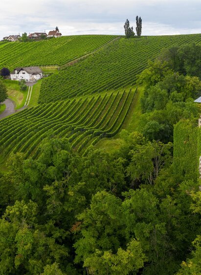 Burgruine Klöch | pixelmaker.at | © Steiermark Tourismus