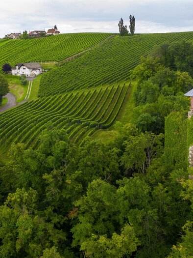 Burgruine Klöch | © Steiermark Tourismus