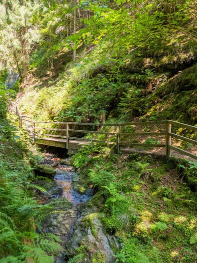 Ein malerischer Wanderweg durch einen grünen Wald mit einem kleinen Bach. Eine Holzbrücke überquert den Fluss und die Umgebung ist von üppiger Vegetation umgeben. | © TVB Murau