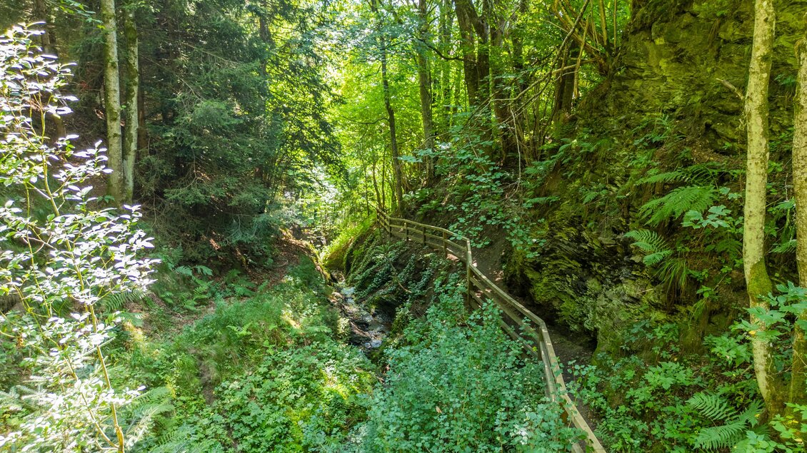 Ein malerischer Waldweg, der durch üppiges Grün und Bäume führt. Ein kleiner Bach schlängelt sich neben dem Holzsteg. | © TVB Murau