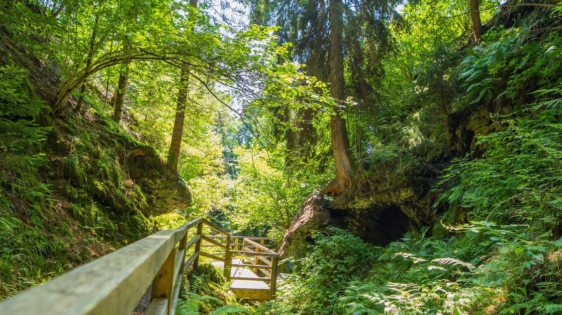 Ein malerischer Waldweg mit einer Holzbrücke, umgeben von üppigem Grün und hohen Bäumen. Ein sanfter Bach fließt am Weg entlang. | © TVB Murau