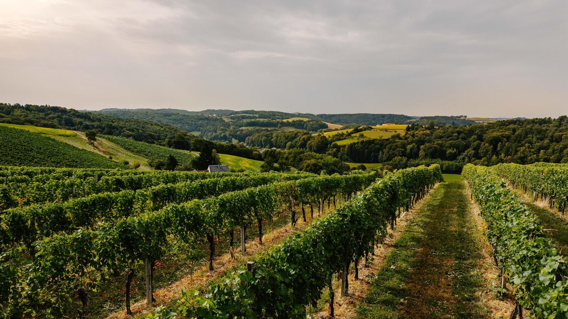 Perfekte Lage | © Weingut Kleinschuster