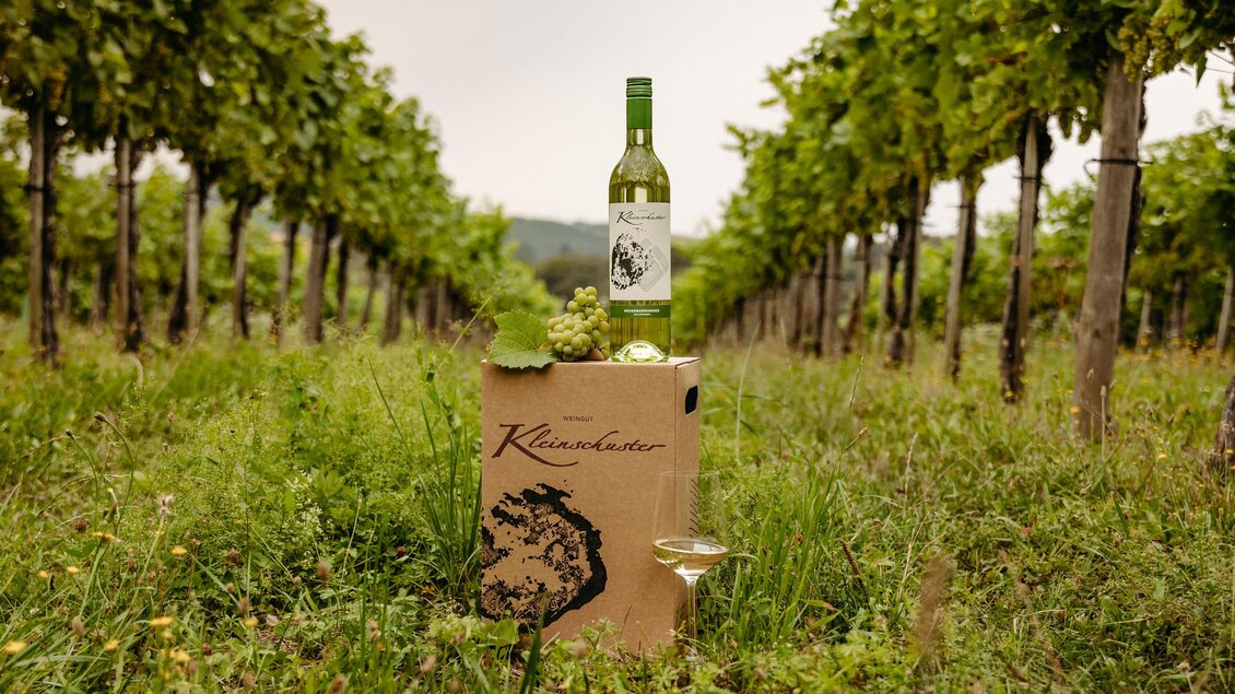Wein im Weingarten | © Weingut Kleinschuster