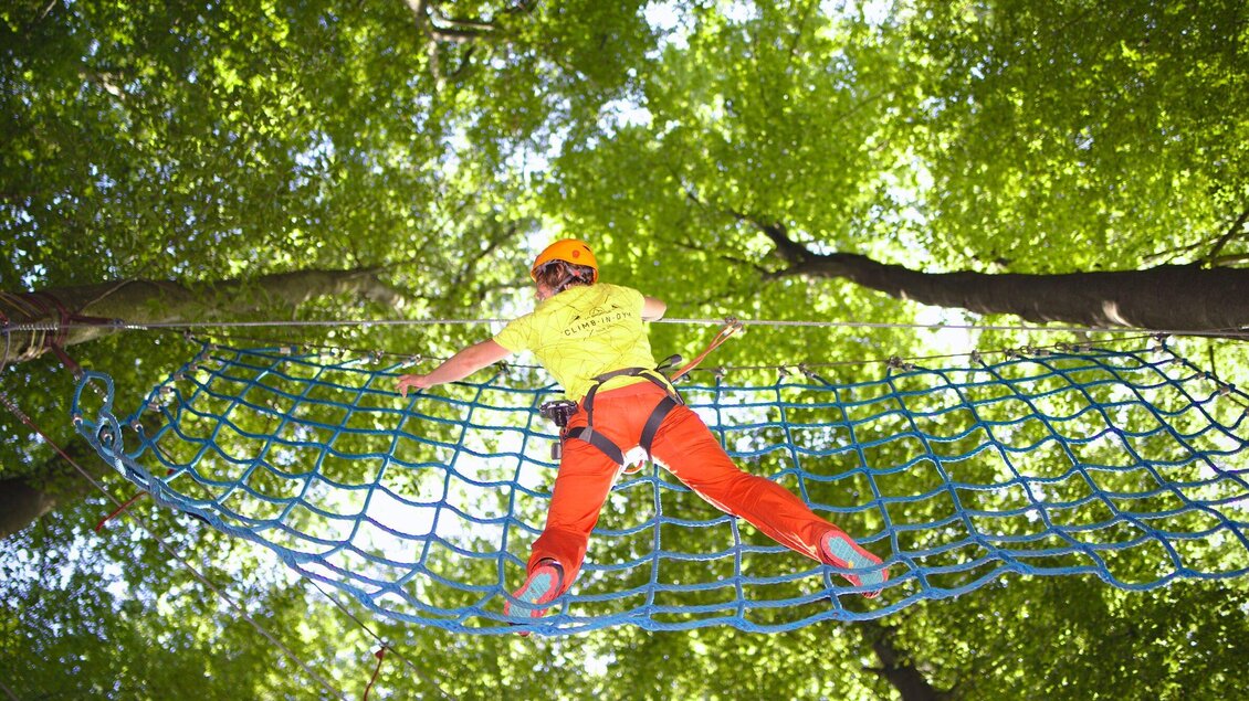 Eine Person in Sicherheitsausrüstung klettert ein Netz in einem Wald. Die Bäume umgeben die Szene mit frischem, grünem Laub. | © WAP