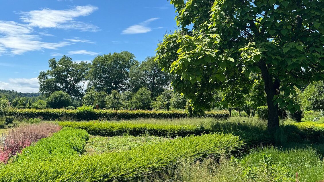 Ein schöner Garten mit verschiedenen grünen Pflanzen und bunten Blumen. Der Himmel ist blau mit wenigen Wolken. | © Jugend am Werk Steiermark