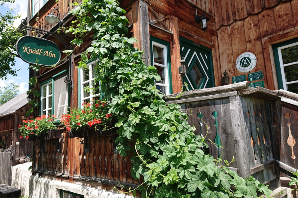 Knödl-Alm - Impression #1 | © Knödl-Alm