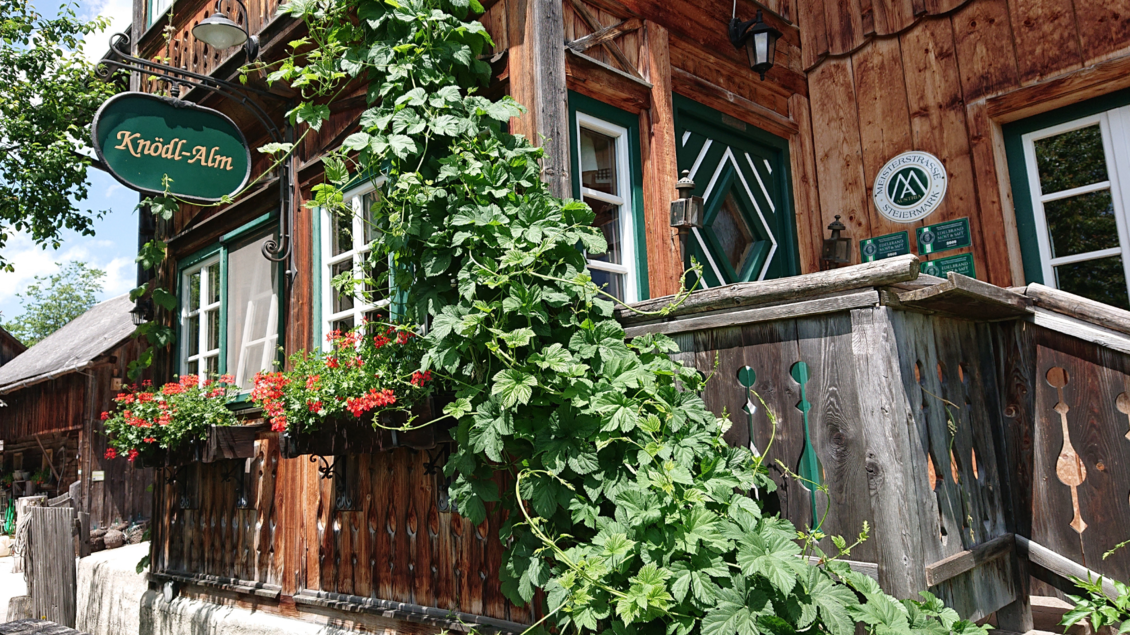 Knödl-Alm, Bad Mitterndorf | © Knödl-Alm
