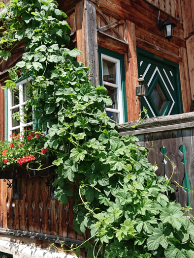 Knödl-Alm, Bad Mitterndorf | © Knödl-Alm