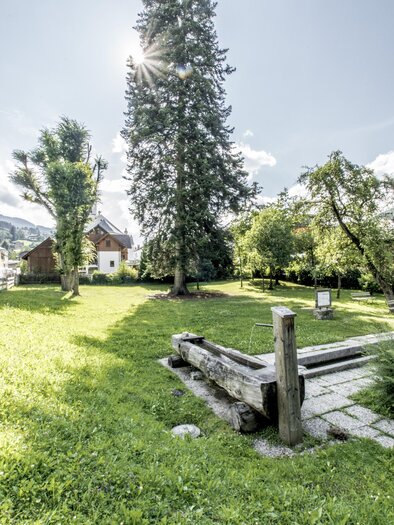 Ruhe genießen im Deublerpark | © Gerhard Pilz