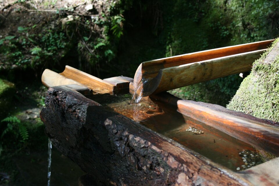 Kneippstelle Bad Gams - Impression #1 | © TV Südsteiermark - Schilcherland