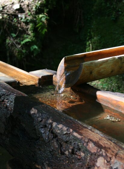 Armbad an der Kneippstelle Bad Gams | TV Südsteiermark - Schilcherland | © TV Südsteiermark - Schilcherland