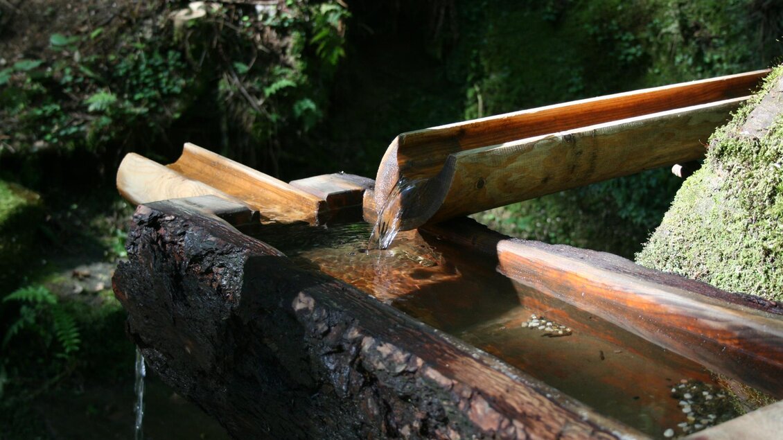 Armbad an der Kneippstelle Bad Gams | © TV Südsteiermark - Schilcherland