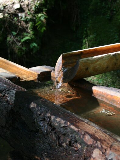 Armbad an der Kneippstelle Bad Gams | © TV Südsteiermark - Schilcherland