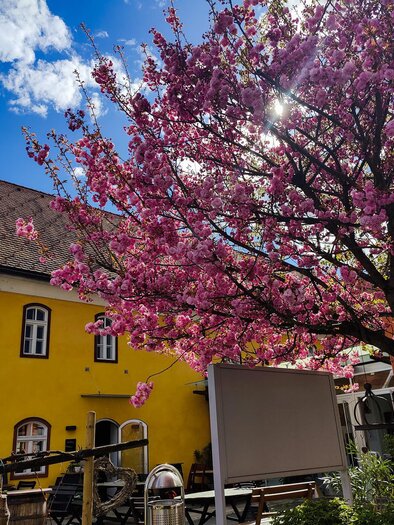 Kniely Haus Leutschach | © Kniely Haus Leutschach