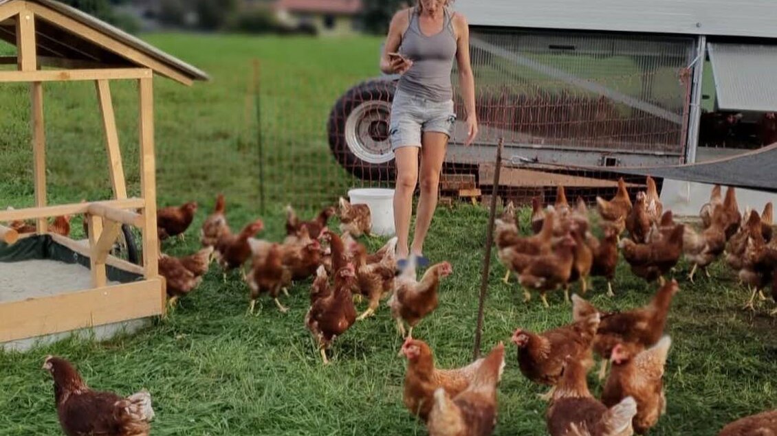 Hühner-Wiese | © Knippihof