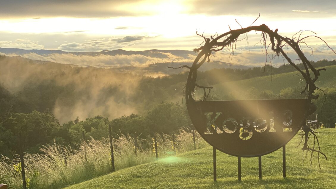 Ein schöner Ausblick auf eine hügelige Landschaft bei Sonnenaufgang. Im Vordergrund steht ein rustikales Schild mit dem Namen "Kogel". | © Kogel 3