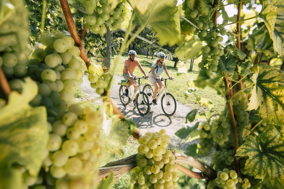 Kolossal Ausrasten – Oststeirische Römerweinstraße - Impression #1 | ©  Tourismusverband Oststeiermark