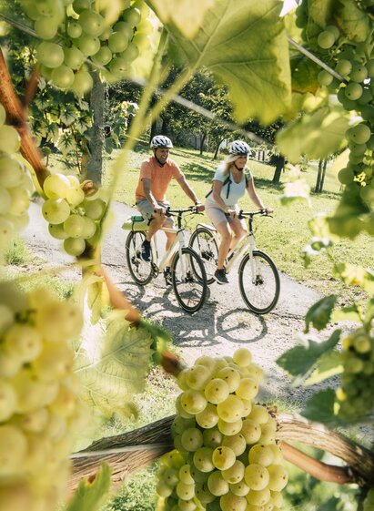 Cycling in the Eastern Styrian Roman Wine Route | Bernhard Bergmann | ©  Tourismusverband Oststeiermark