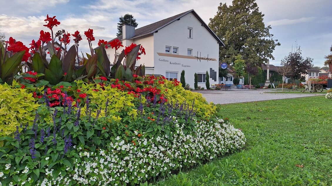 Titelbild | © Erwin Haiden