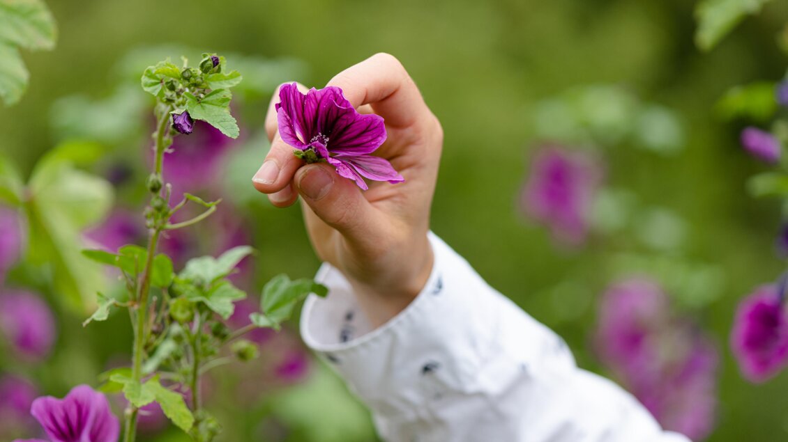 Kräuterbauernhof Percht | © Martina Siebenhandl