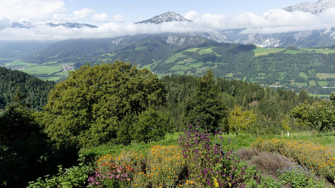 Ausblick vom Kräuterbauernhof Percht | © Martina Siebenhandl