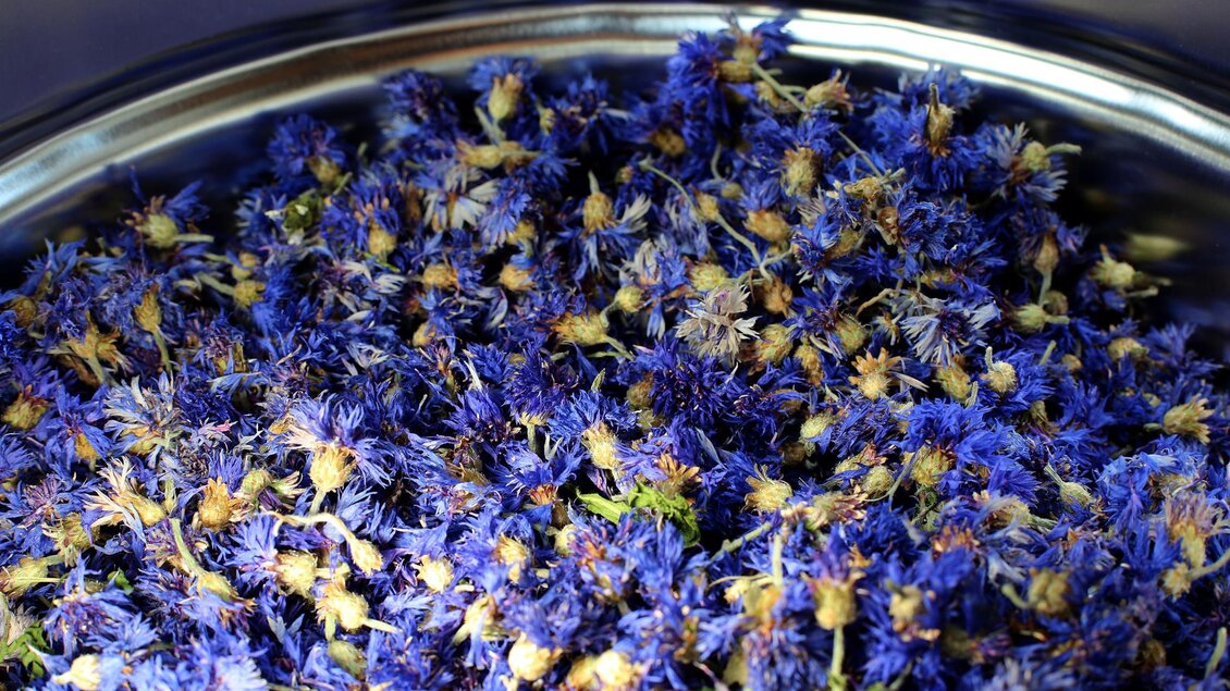 Kräutergarten Edlinger - Impressionen #2.8