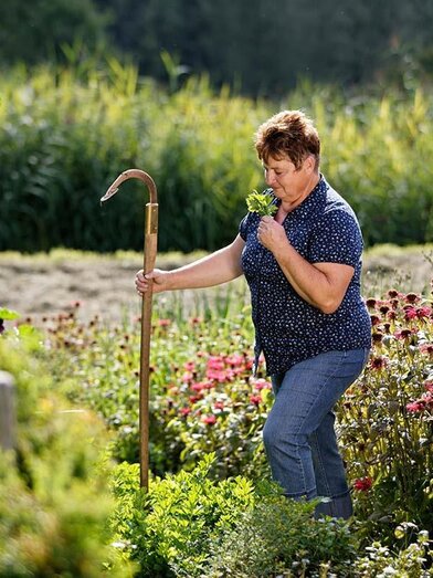 Herbs Hochegger_Herb garden_Eastern Styria | © Kräutergarten Hochegger | Bernhard Bergmann | © Kräutergarten Hochegger