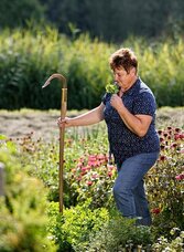 Herbs Hochegger_Herb garden_Eastern Styria | © Kräutergarten Hochegger | Bernhard Bergmann | © Kräutergarten Hochegger
