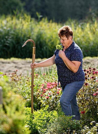 Herbs Hochegger_Herb garden_Eastern Styria | Bernhard Bergmann | © Kräutergarten Hochegger