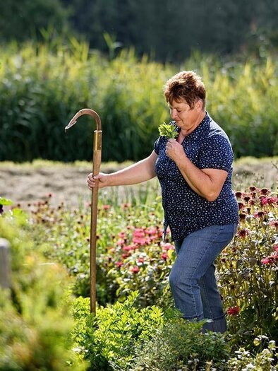 Herbs Hochegger_Herb garden_Eastern Styria | © Kräutergarten Hochegger