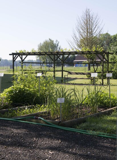 Kräutergarten | pixelmakter.at | © TV Thermen- & Vulkanland