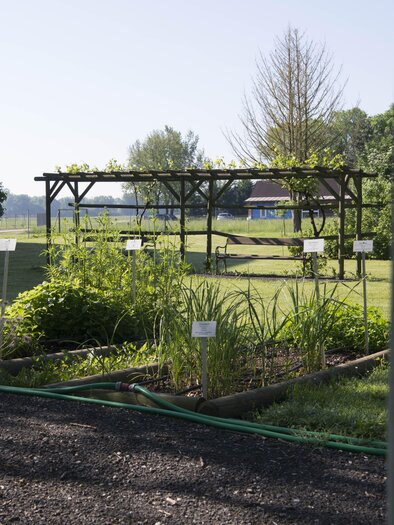 Kräutergarten | © TV Thermen- & Vulkanland