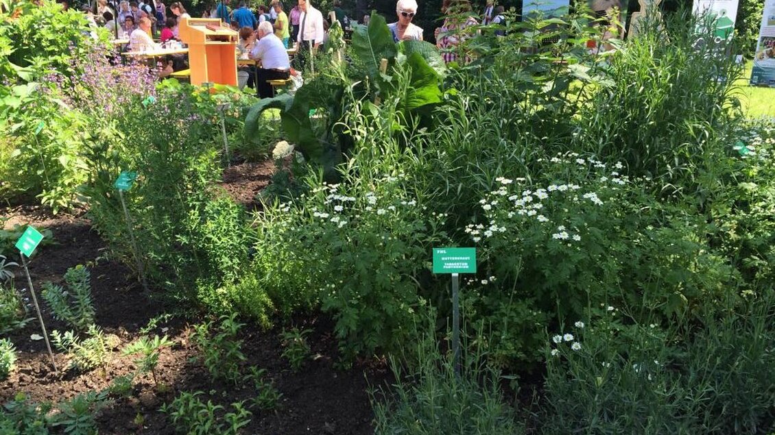 Herbalist - Impressionen #2.5