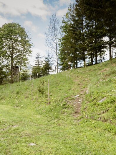 WilderWegesrand-Pusterwald-Murtal-Steiermark | © Gemeinde Pusterwald