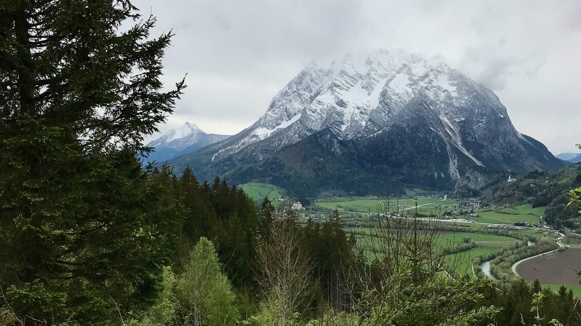 Ein majestätischer Berg mit schneebedecktem Gipfel, umgeben von grünen Wäldern und Talflächen. Der Himmel ist bewölkt, was eine ruhige Atmosphäre schafft. | © Sabine Schulz